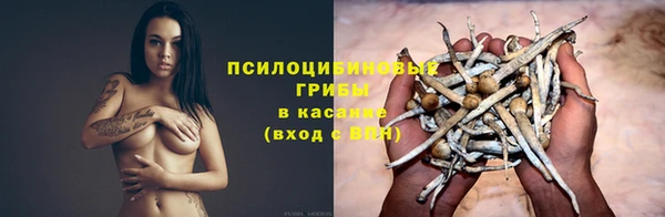 меф Белокуриха